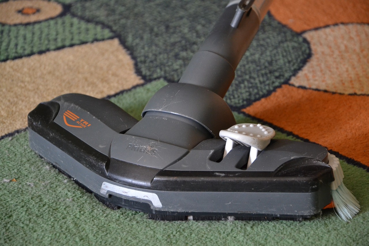 Vacuum Cleaner on Carpet