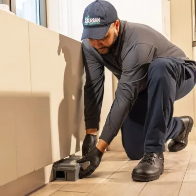 technician on one knee adding bait station