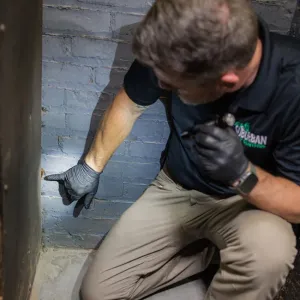 technician with flashlight doing an inspection