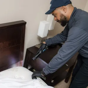 technician bed bug inspection