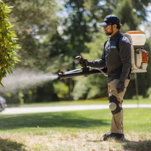 technician spraying shrubs