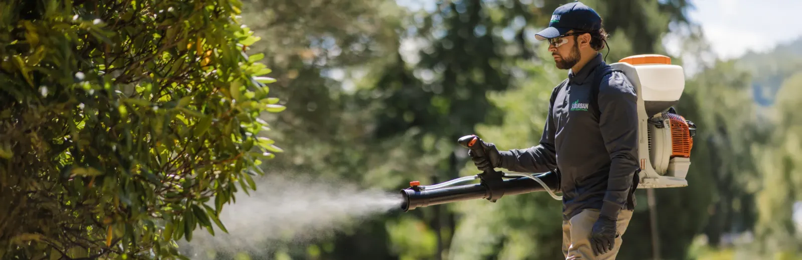 technician spraying bushes and trees 