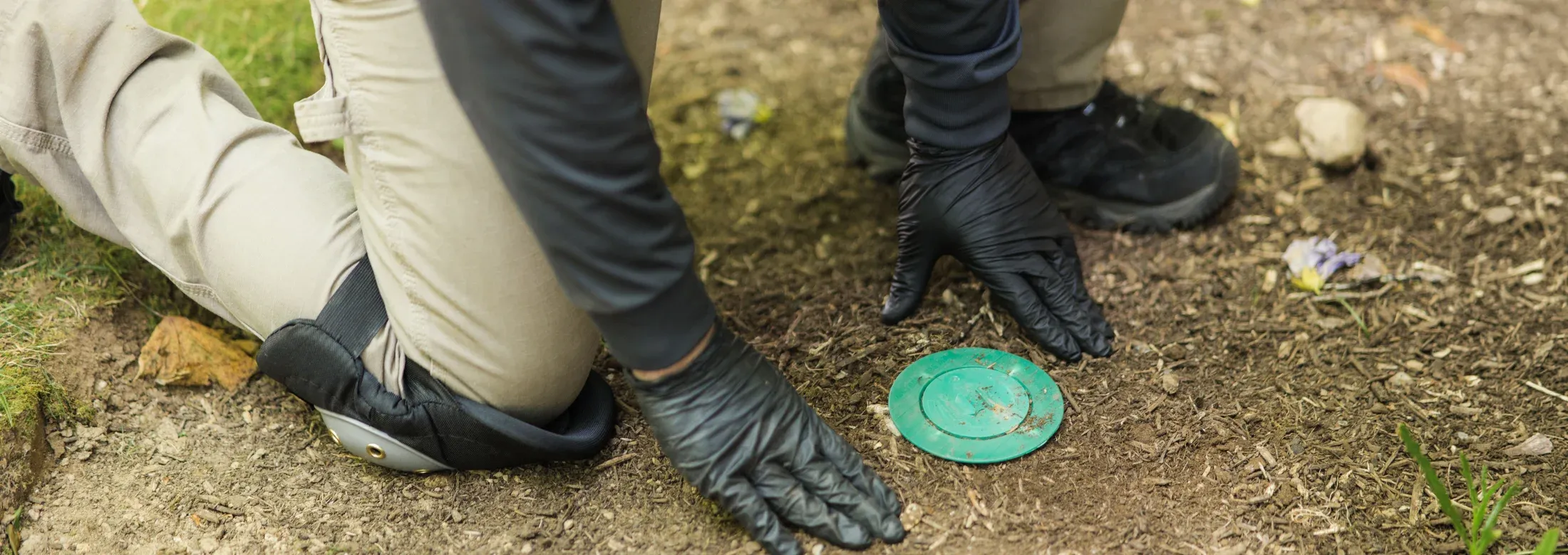 technician checking termite bait trap