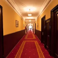 hotel hallway with a red carpet and brown doors