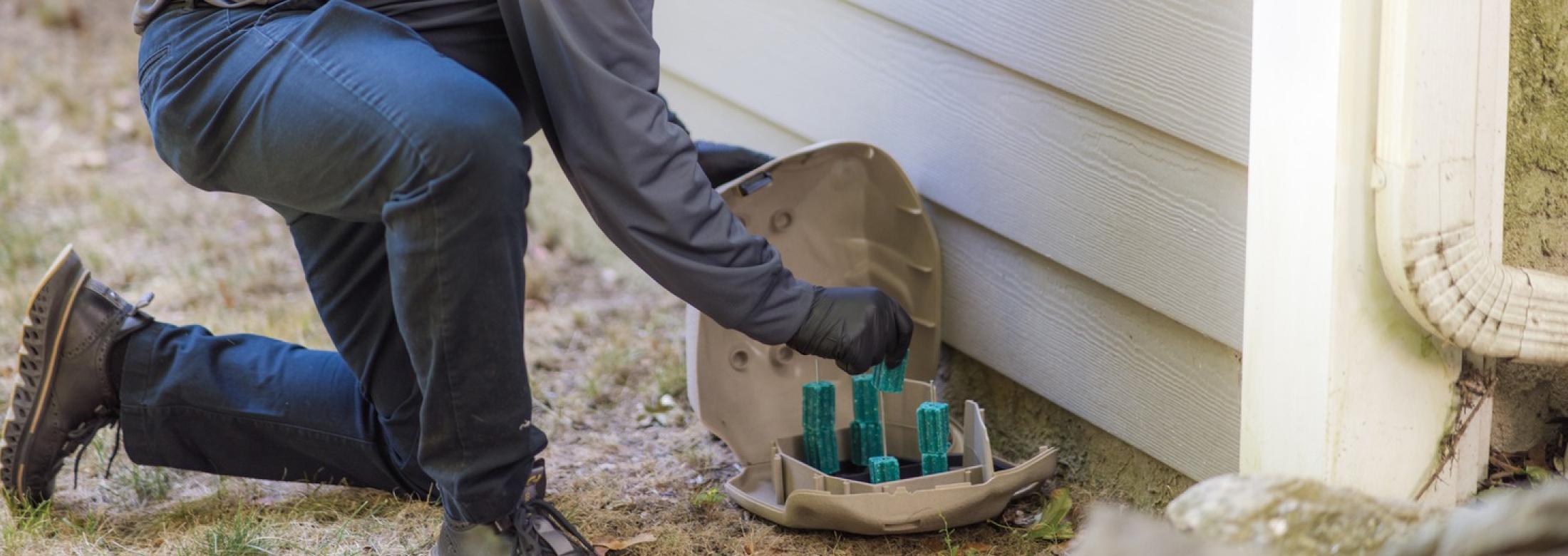 a rodent bait station